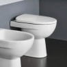 Tapa de inodoro blanco WC baño sanitarios Geberit Selnova Venta