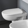 Tapa de inodoro blanco WC baño sanitarios Geberit Selnova Oferta