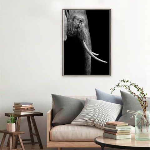 Póster fotográfico de elefante con marco 50x70cm Unika 0017 Promoción