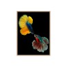 Cuadro con fotografía peces de colores 30x40cm Unika 0021 Venta