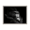 Cuadro con fotografía gorila animal 30x40cm Unika 0026 Venta