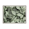 Cuadro con fotografía plantas hojas 30 x 40cm Unika 0055 Venta