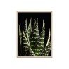 Cuadro con fotografía hojas de aloe 30x40cm Unika 0060 Venta