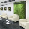 Cuadros vegetales estabilizados 4 paneles 60x40cm paneles GreenBox Kit Lichene 