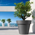 Cornaglia Maceta grande ø 80cm para plantas de terraza de jardín bar Promoción