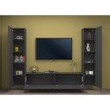 Vibe RT mueble TV moderno gris colgado sistema pared 2 armarios Descueto