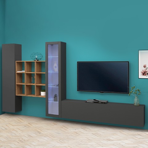 Mueble de pared para TV de diseño moderno estantería de madera Ranil RT Promoción