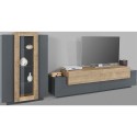 Mueble TV moderno de madera y negro Woud AP Descueto
