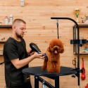 Mesa redonda giratoria ajustable para peluquería canina Beagle Venta