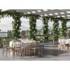Divina silla de diseño clásico para restaurantes y bodas al aire libre Características
