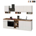 Cocina lineal completa 256 cm diseño moderno modular Domina Rebajas