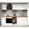 Cocina lineal completa 256 cm diseño moderno modular Domina 