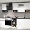 Cocina completa modular diseño lineal estilo moderno 256cm Essence 