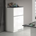 Mueble cubre frigorífico empotrado 2 puertas para cocina 60x60x164,5h Halser Stock