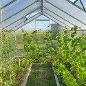 Invernadero de jardín aluminio policarbonato 220 x 150-220-290 x 205 h Sanus M Stock