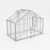 Invernadero de jardín de aluminio y policarbonato 290 x 150-220-290 x 220 h Sanus WM Promoción