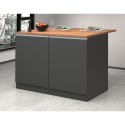 Isla central para cocina moderna 2 puertas mesa de madera 125x90x90cm Deer 