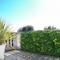 Seto artificial enrejado para jardín de 200x100cm extensible Laurus Venta