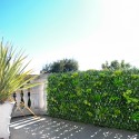 Seto artificial enrejado para jardín de 2x1 m extensible Laurus Venta