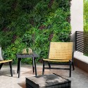 Seto artificial realista 100x100 cm plantas 3D exterior jardín Ilex Venta