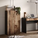Armario multiusos para salón u oficina 2 puertas 2 estantes 63x35x114cm Liara Elección