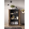 Armario multiusos para salón u oficina 2 puertas 2 estantes 63x35x114cm Liara Características