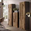 Armario moderno para oficina o salón 2 puertas 3 estantes 63x35x184cm Monts Coste