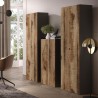 Armario moderno para oficina o salón 2 puertas 3 estantes 63x35x184cm Monts Coste