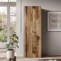Armario moderno para oficina o salón 2 puertas 3 estantes 63x35x184cm Monts Precio