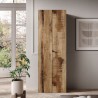 Armario moderno para oficina o salón 2 puertas 3 estantes 63x35x184cm Monts Precio