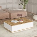 Mesa centro blanca para el salón con 2 puertas de madera 90x60 cm Tynne Promoción
