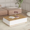 Mesa centro blanca para el salón con 2 puertas de madera 90x60 cm Tynne Promoción