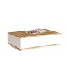 Mesa centro blanca para el salón con 2 puertas de madera 90x60 cm Tynne Descueto