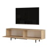 Mueble TV de 160x36 cm de madera con 2 puertas efecto ratán Bayeaux Descueto