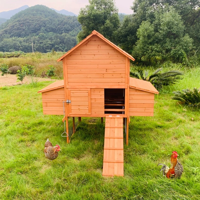  Gallinero de madera elevado para jardín 370x174x172 Hegg Promoción 