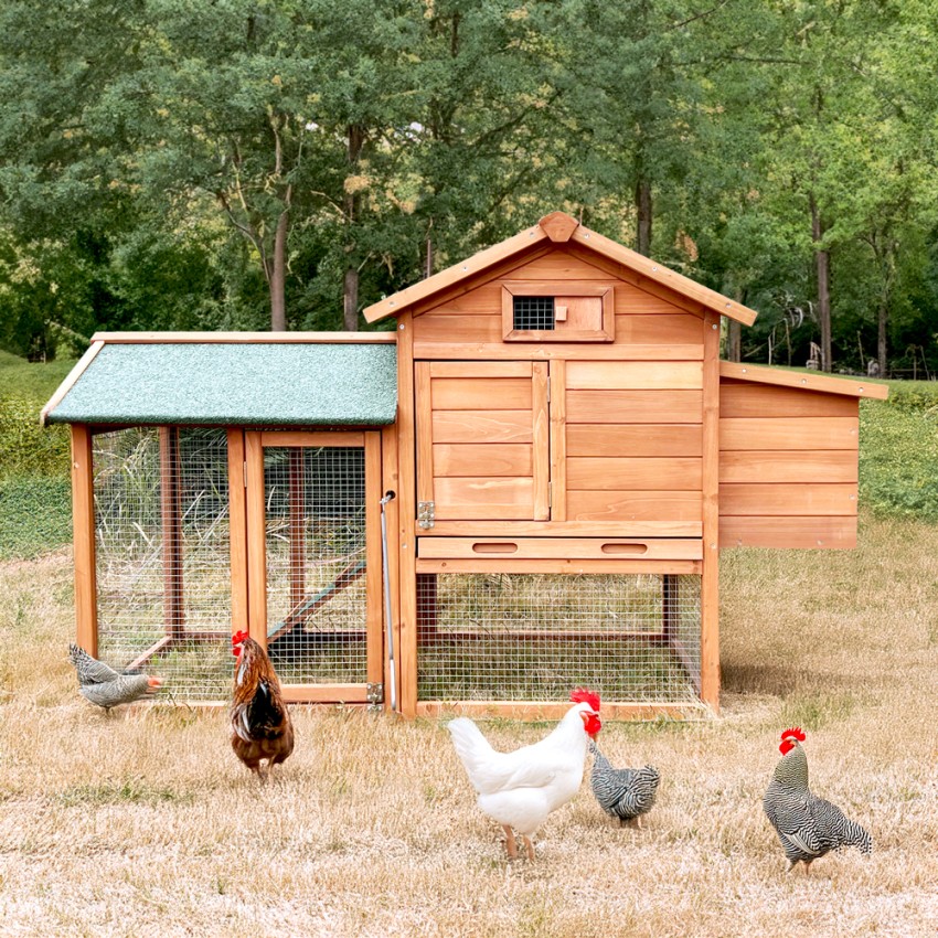 Gallinero de madera exterior de jardín para gallinas ponedoras 152x62x92 cm Marf Promoción Gallinero de madera exterior de jardín para gallinas ponedoras 152x62x92 cm Marf Promoción