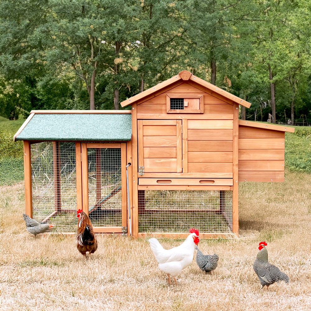 Gallinero de madera exterior de jardín para gallinas ponedoras 152x62x92 cm Marf