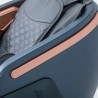 Sillón de masaje reclinable profesional Zero Gravity con función de calentamiento Fujiko Características