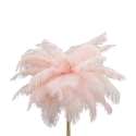 Lámpara de mesa con pantalla de plumas y 2 luces Palm S Características