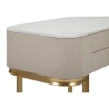 Consola de entrada con 2 cajones y patas doradas 70x40cm Beauty Modelo