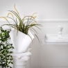 Maceta para plantas de interior en plexiglás transparente porta-hielo Drappeggi Venta