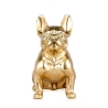 Escultura bulldog francés en resina dorada estatua diseño moderno Forma-G Descueto