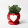 Bombonera con planta Sansevieria nana en maceta decorada con corazón Eden Venta