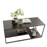 Mesa de centro de metal de diseño moderno 120x50 cm Angie Descueto