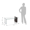 Mesa de centro de vidrio curvado y madera 110x55x42cm Feng S Rebajas