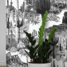 Papel tapiz autoadhesivo moderno blanco y negro para sala de estar Cactus Rebajas