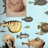 Papel pintado mar azul para sala de estar pasillo Peces Tropicales Oferta