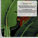 Papel pintado adhesivo de diseño naturaleza selva Hoja de Banano Negra Catálogo