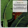 Papel pintado adhesivo de diseño naturaleza selva Hoja de Banano Negra Catálogo