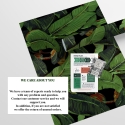Papel pintado adhesivo de diseño naturaleza selva Hoja de Banano Negra Stock